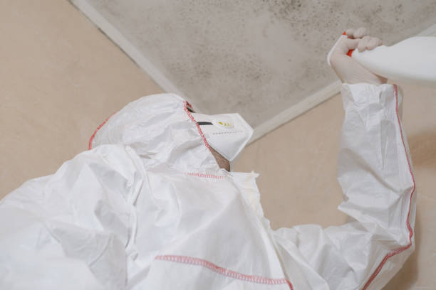 Best Mold Odor Removal Services  in Finneytown, OH