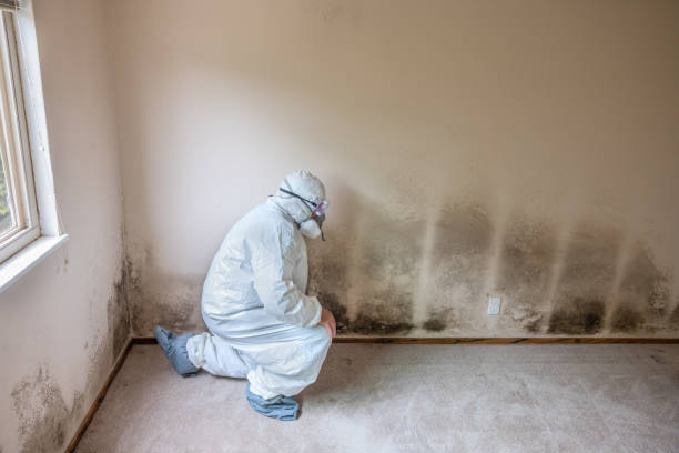 Best Biohazard Mold Removal  in Finneytown, OH